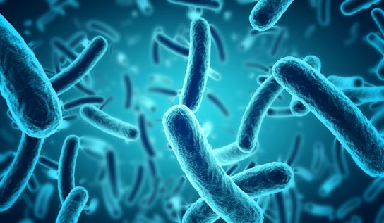 3D render of microbes